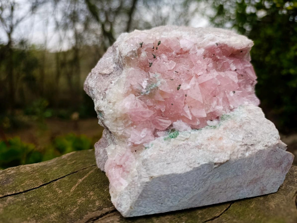 Natural Large Cabinet Size Super Rare Dog Tooth Rhodocalcite Specimen on a Dolomite Matrix x 1 From Mashamba West Mine, Congo