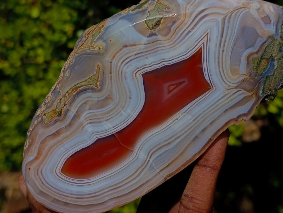 Polished One Side Red Shashe River Agate Nodule x 1 From Shashe River, Zimbabwe
