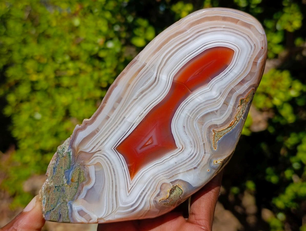 Polished One Side Red Shashe River Agate Nodule x 1 From Shashe River, Zimbabwe