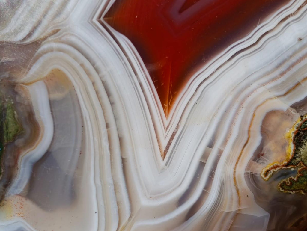 Polished One Side Red Shashe River Agate Nodule x 1 From Shashe River, Zimbabwe