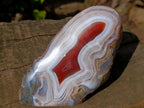 Polished One Side Red Shashe River Agate Nodule x 1 From Shashe River, Zimbabwe