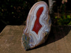 Polished One Side Red Shashe River Agate Nodule x 1 From Shashe River, Zimbabwe
