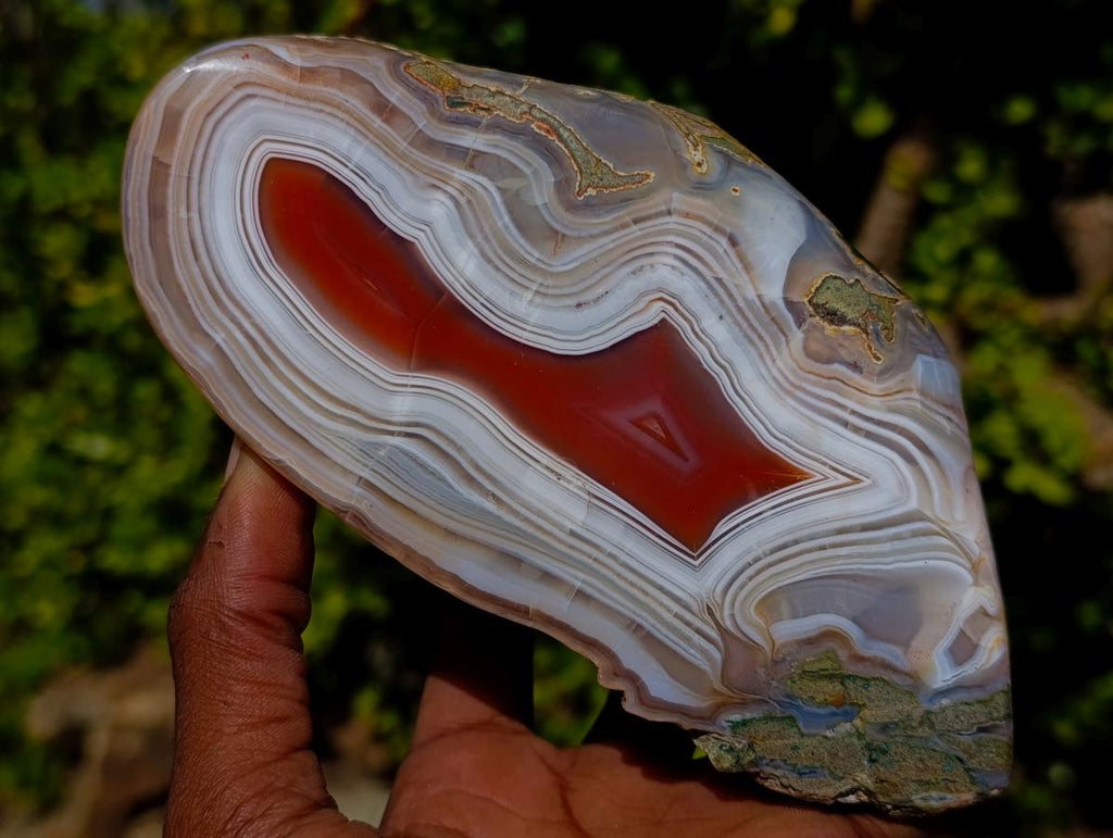 Polished One Side Red Shashe River Agate Nodule x 1 From Shashe River, Zimbabwe