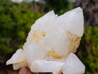 Natural Rare Etched Candle Quartz Cluster Specimen x 1 From Madagascar