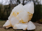 Natural Rare Etched Candle Quartz Cluster Specimen x 1 From Madagascar