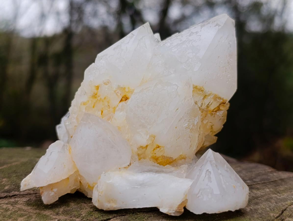Natural Rare Etched Candle Quartz Cluster Specimen x 1 From Madagascar