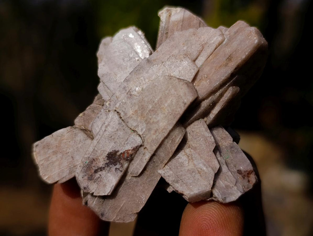 Natural Mixed Set of 12 African Minerals, Fossils and Crystal Specimens x 1 From Southern Africa