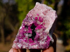 Natural Mixed Set of 12 African Minerals, Fossils and Crystal Specimens x 1 From Southern Africa