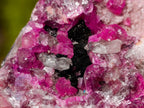 Natural Mixed Set of 12 African Minerals, Fossils and Crystal Specimens x 1 From Southern Africa