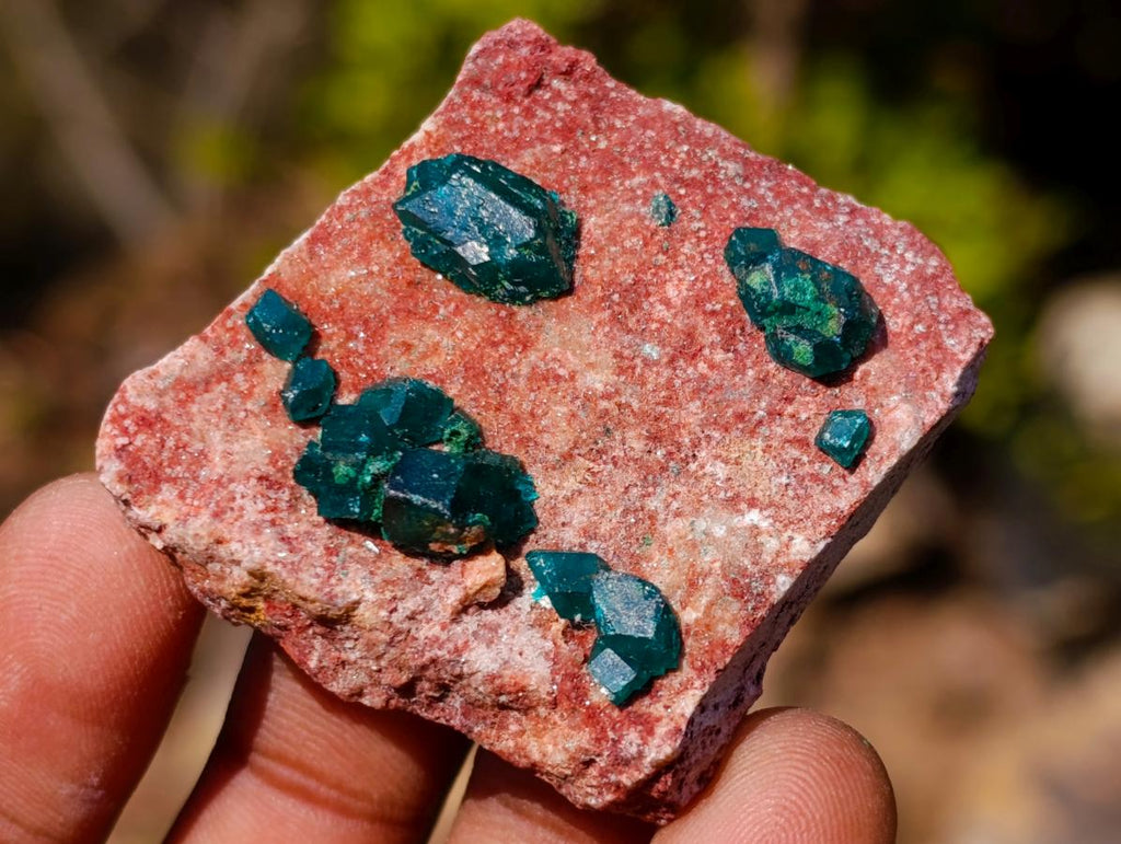 Natural Mixed Set of 12 African Minerals, Fossils and Crystal Specimens x 1 From Southern Africa