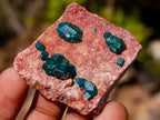 Natural Mixed Set of 12 African Minerals, Fossils and Crystal Specimens x 1 From Southern Africa