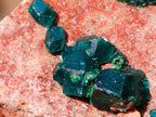 Natural Mixed Set of 12 African Minerals, Fossils and Crystal Specimens x 1 From Southern Africa