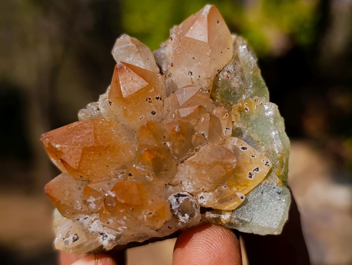 Natural Mixed Set of 12 African Minerals, Fossils and Crystal Specimens x 1 From Southern Africa