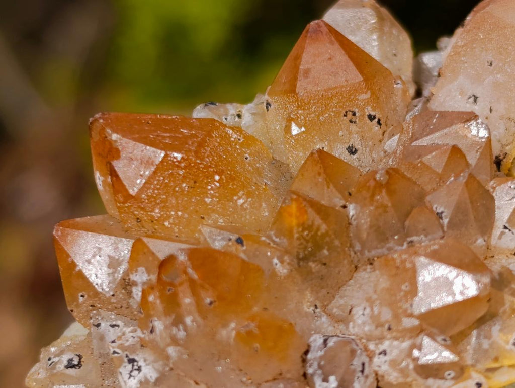 Natural Mixed Set of 12 African Minerals, Fossils and Crystal Specimens x 1 From Southern Africa