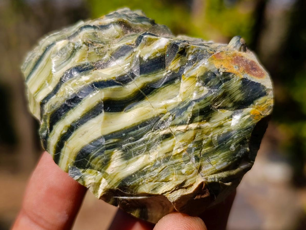 Natural Mixed Set of 12 African Minerals, Fossils and Crystal Specimens x 1 From Southern Africa