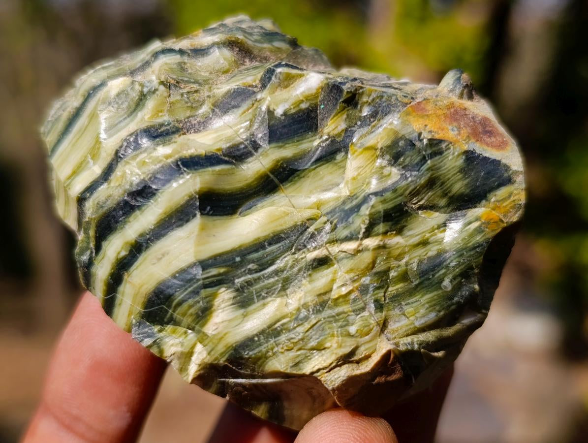 Natural Mixed Set of 12 African Minerals, Fossils and Crystal Specimens x 1 From Southern Africa