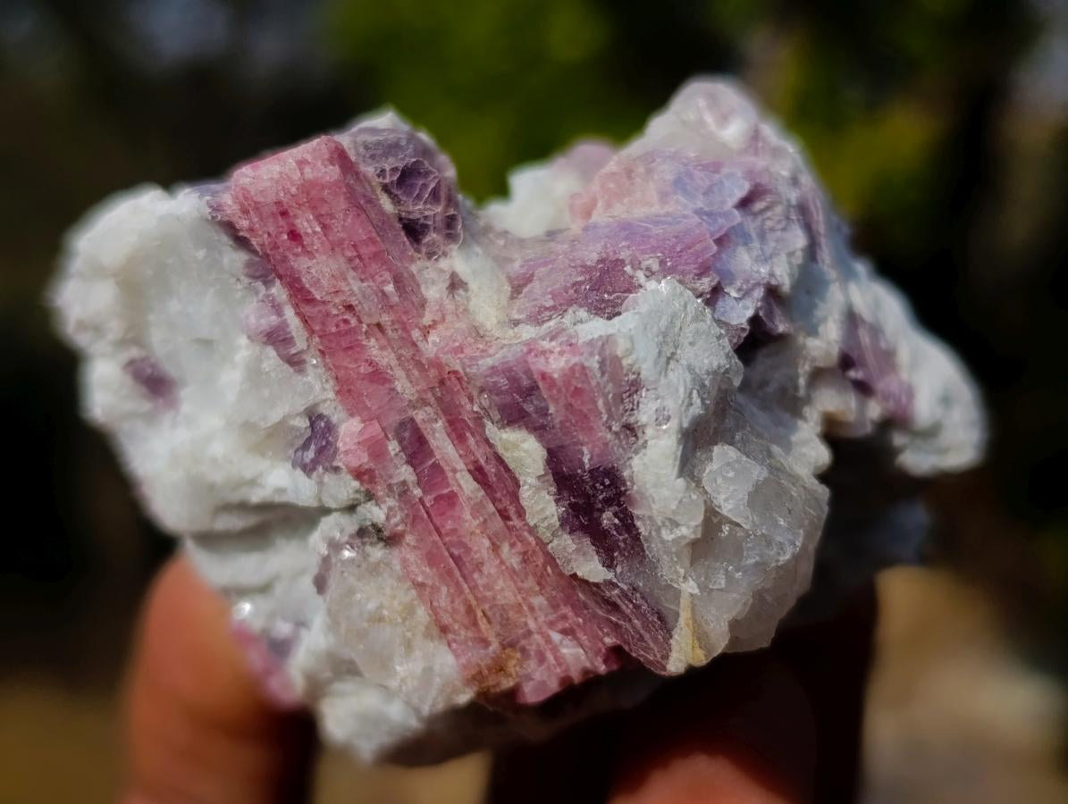 Natural Mixed Set of 12 African Minerals, Fossils and Crystal Specimens x 1 From Southern Africa