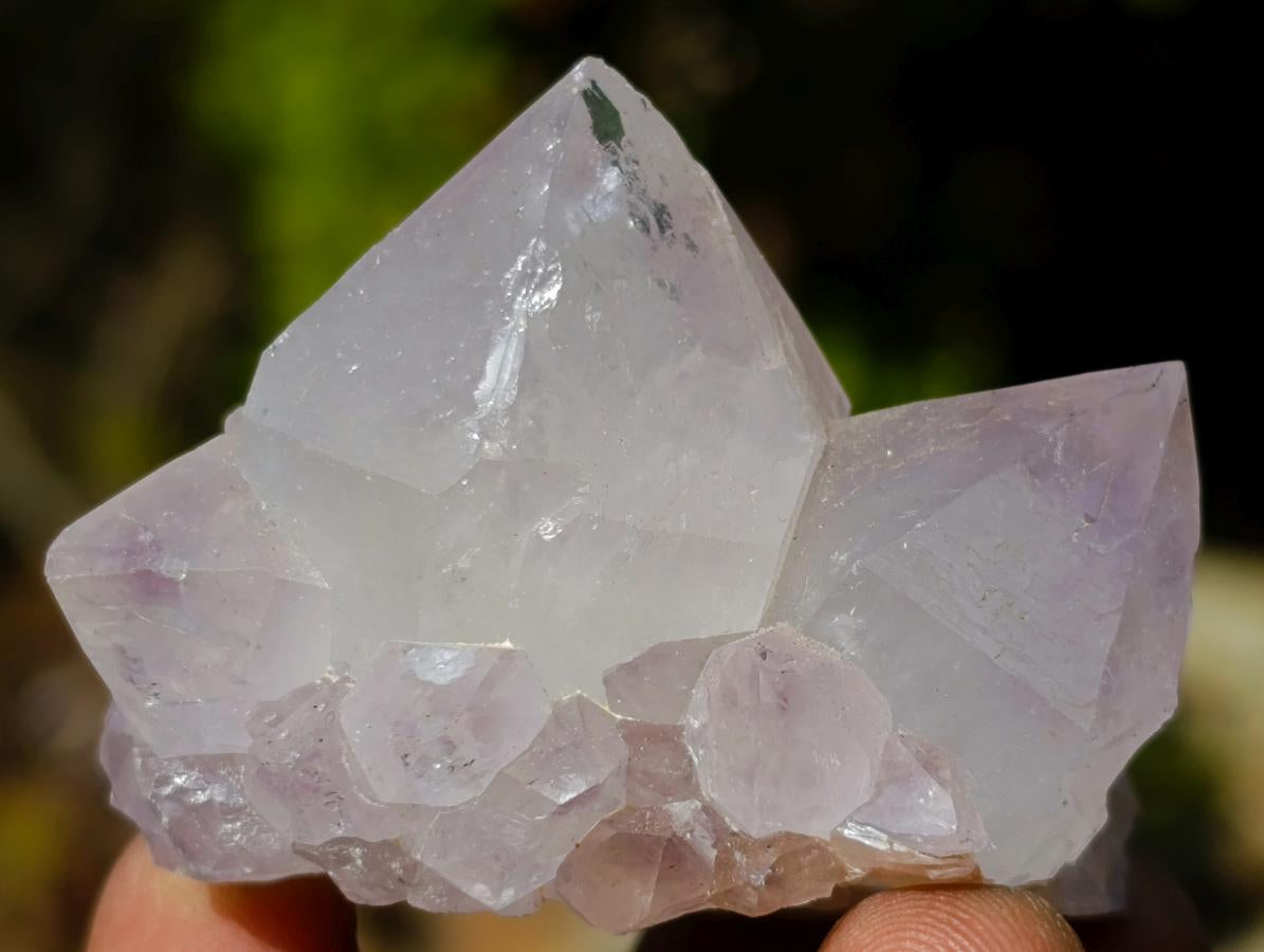 Natural Mixed Set of 12 African Minerals, Fossils and Crystal Specimens x 1 From Southern Africa