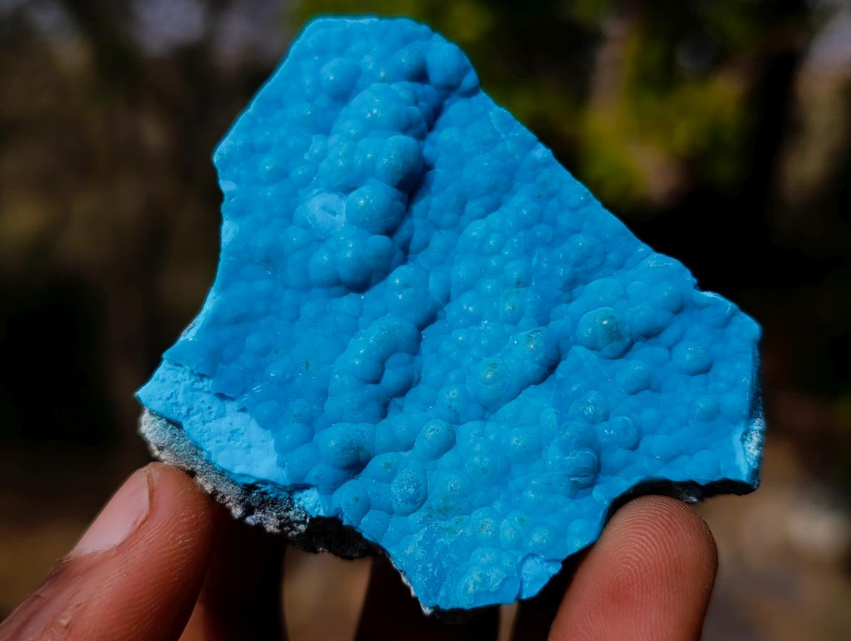 Natural Mixed Set of 12 African Minerals, Fossils and Crystal Specimens x 1 From Southern Africa