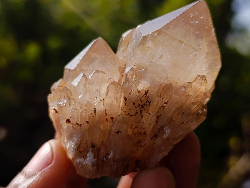 Natural Mixed Set of 12 African Minerals, Fossils and Crystal Specimens x 1 From Southern Africa