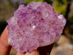 Natural Mixed Set of 12 African Minerals, Fossils and Crystal Specimens x 1 From Southern Africa