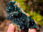 Natural Mixed Set of 12 African Minerals, Fossils and Crystal Specimens x 1 From Southern Africa