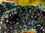Natural Mixed Set of 12 African Minerals, Fossils and Crystal Specimens x 1 From Southern Africa