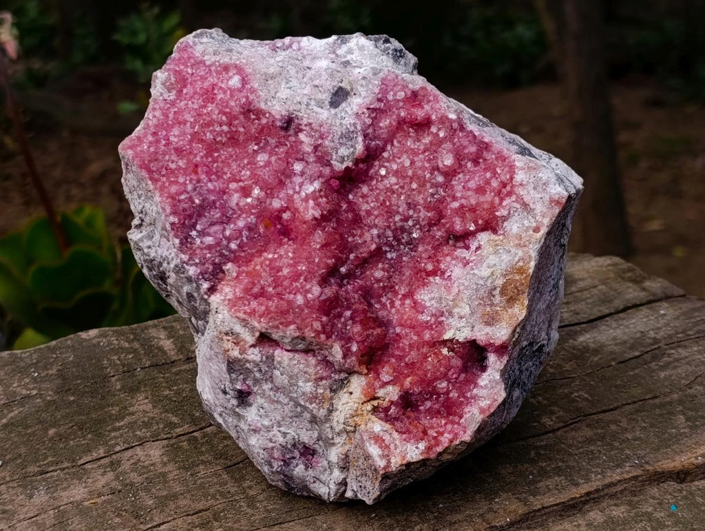 Natural XL Pink Salrose Cobaltion Dolomite Specimen x 1 From Kakanda, Congo