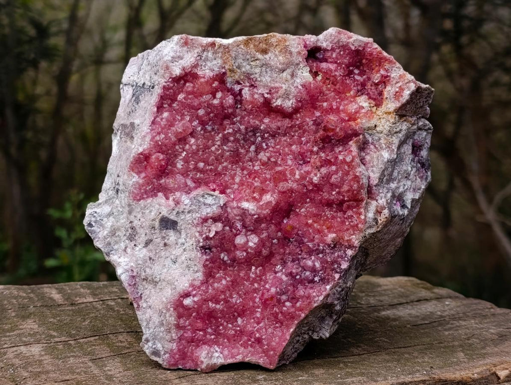 Natural XL Pink Salrose Cobaltion Dolomite Specimen x 1 From Kakanda, Congo