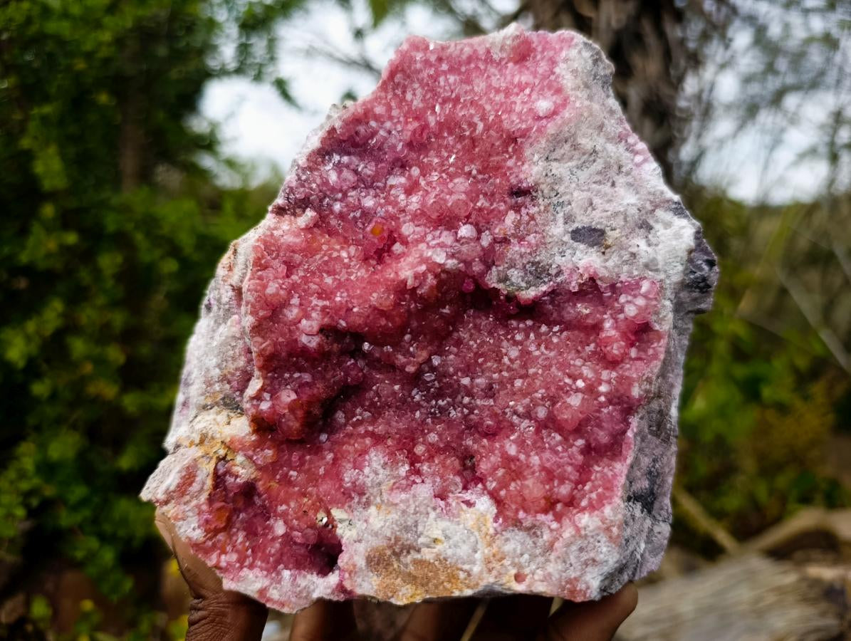 Natural XL Pink Salrose Cobaltion Dolomite Specimen x 1 From Kakanda, Congo