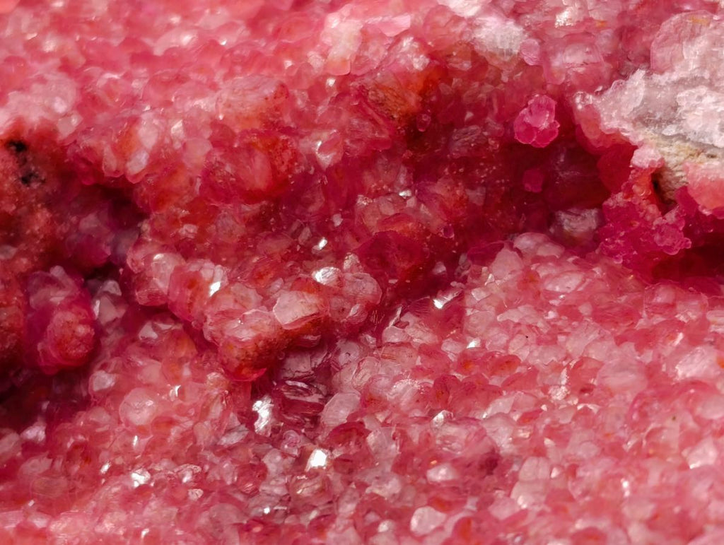 Natural XL Pink Salrose Cobaltion Dolomite Specimen x 1 From Kakanda, Congo
