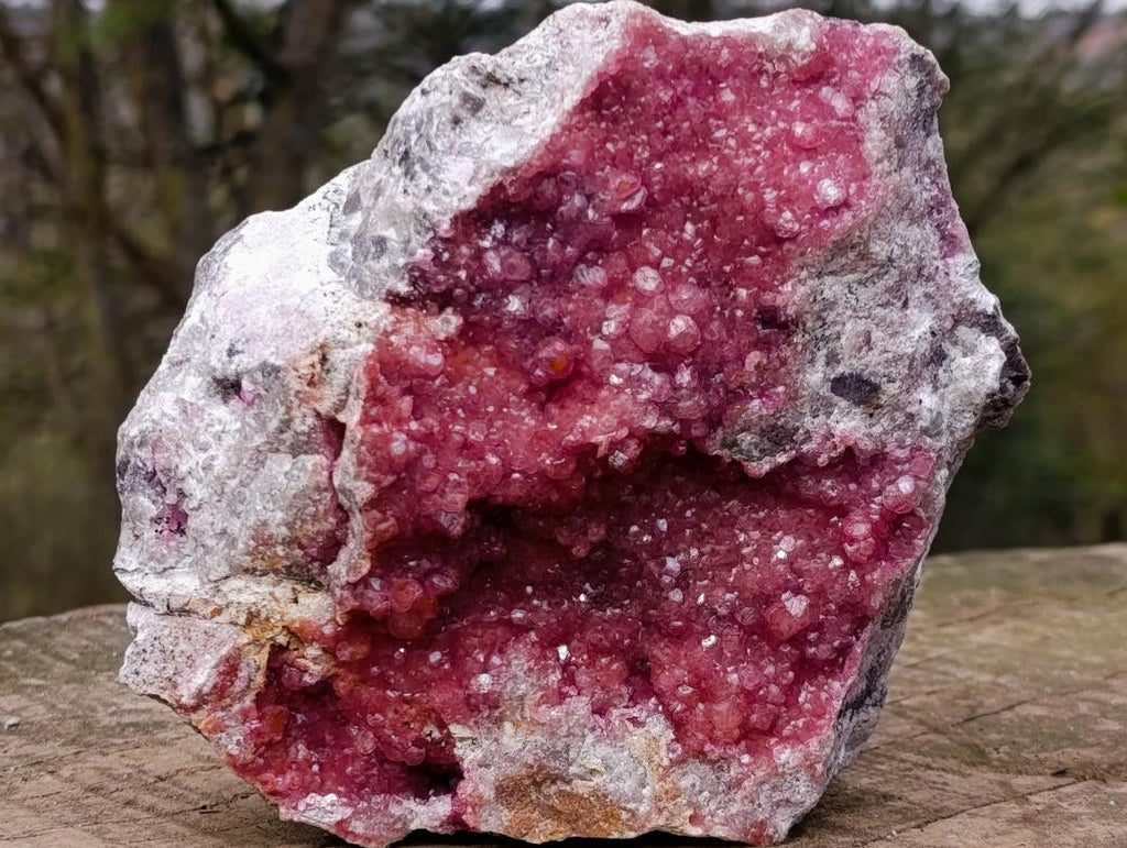 Natural XL Pink Salrose Cobaltion Dolomite Specimen x 1 From Kakanda, Congo