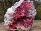 Natural XL Pink Salrose Cobaltion Dolomite Specimen x 1 From Kakanda, Congo