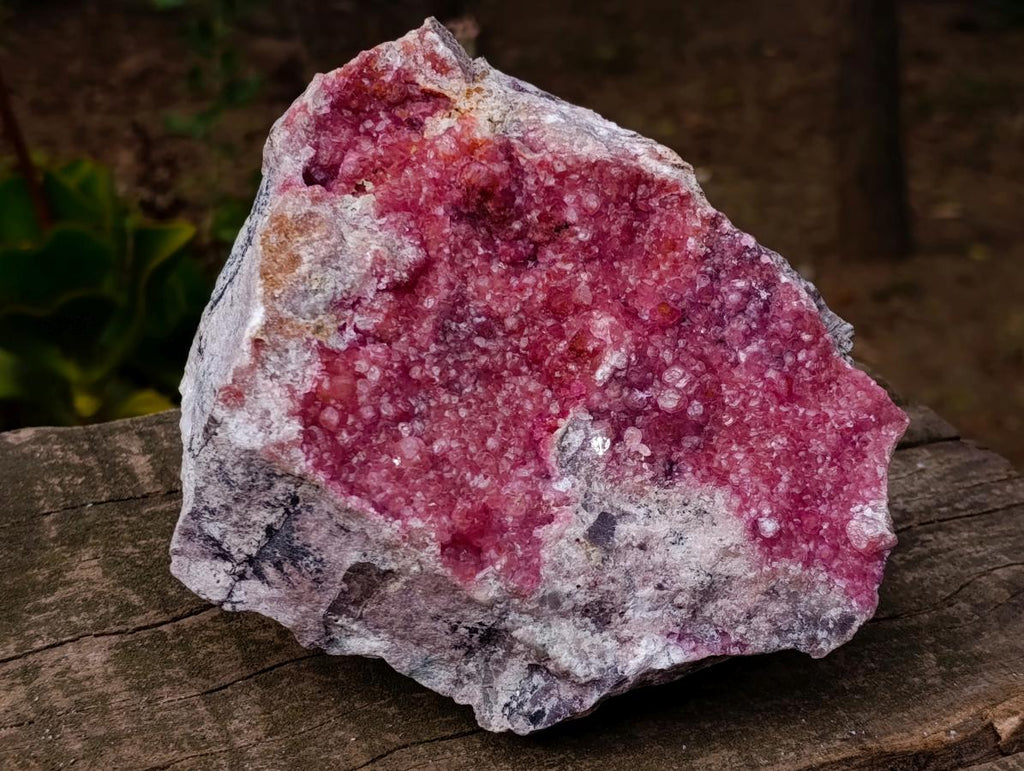 Natural XL Pink Salrose Cobaltion Dolomite Specimen x 1 From Kakanda, Congo