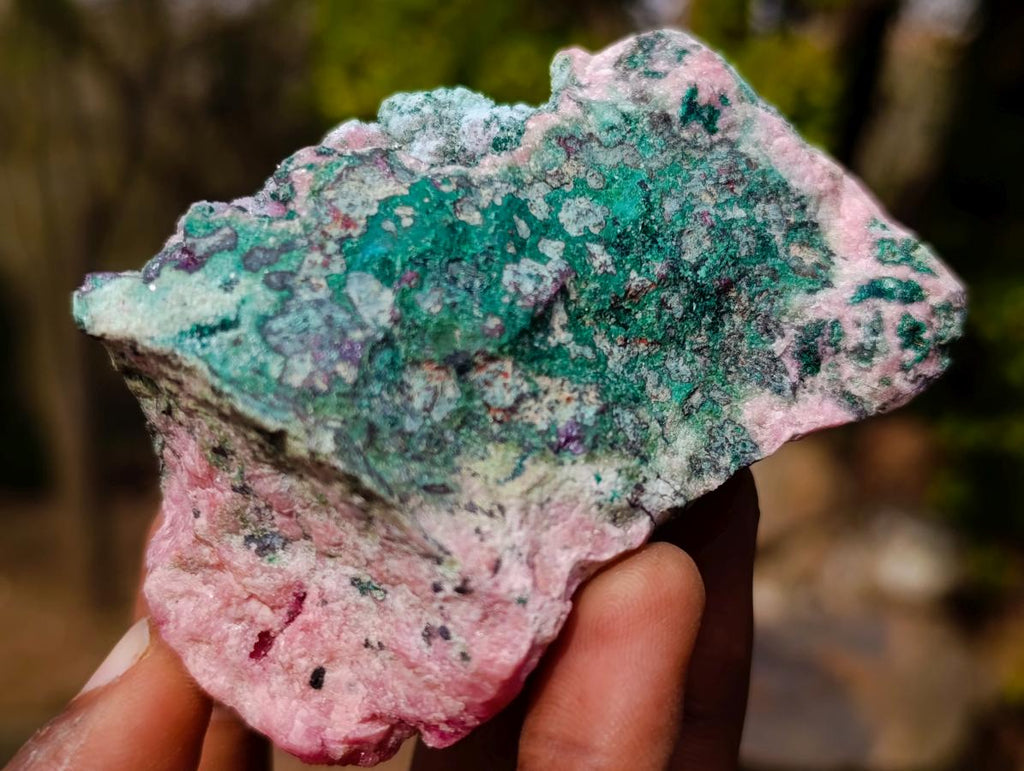 Natural Cuprite, Salrose and Chrysocolla Multi Mineral Specimen x 1 From Kakanda, Congo