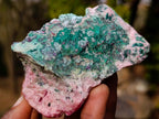 Natural Cuprite, Salrose and Chrysocolla Multi Mineral Specimen x 1 From Kakanda, Congo