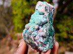 Natural Cuprite, Salrose and Chrysocolla Multi Mineral Specimen x 1 From Kakanda, Congo