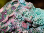 Natural Cuprite, Salrose and Chrysocolla Multi Mineral Specimen x 1 From Kakanda, Congo