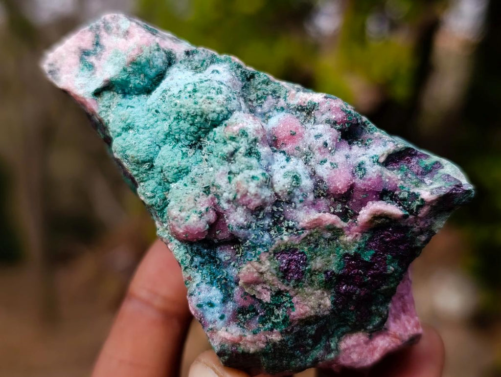 Natural Cuprite, Salrose and Chrysocolla Multi Mineral Specimen x 1 From Kakanda, Congo