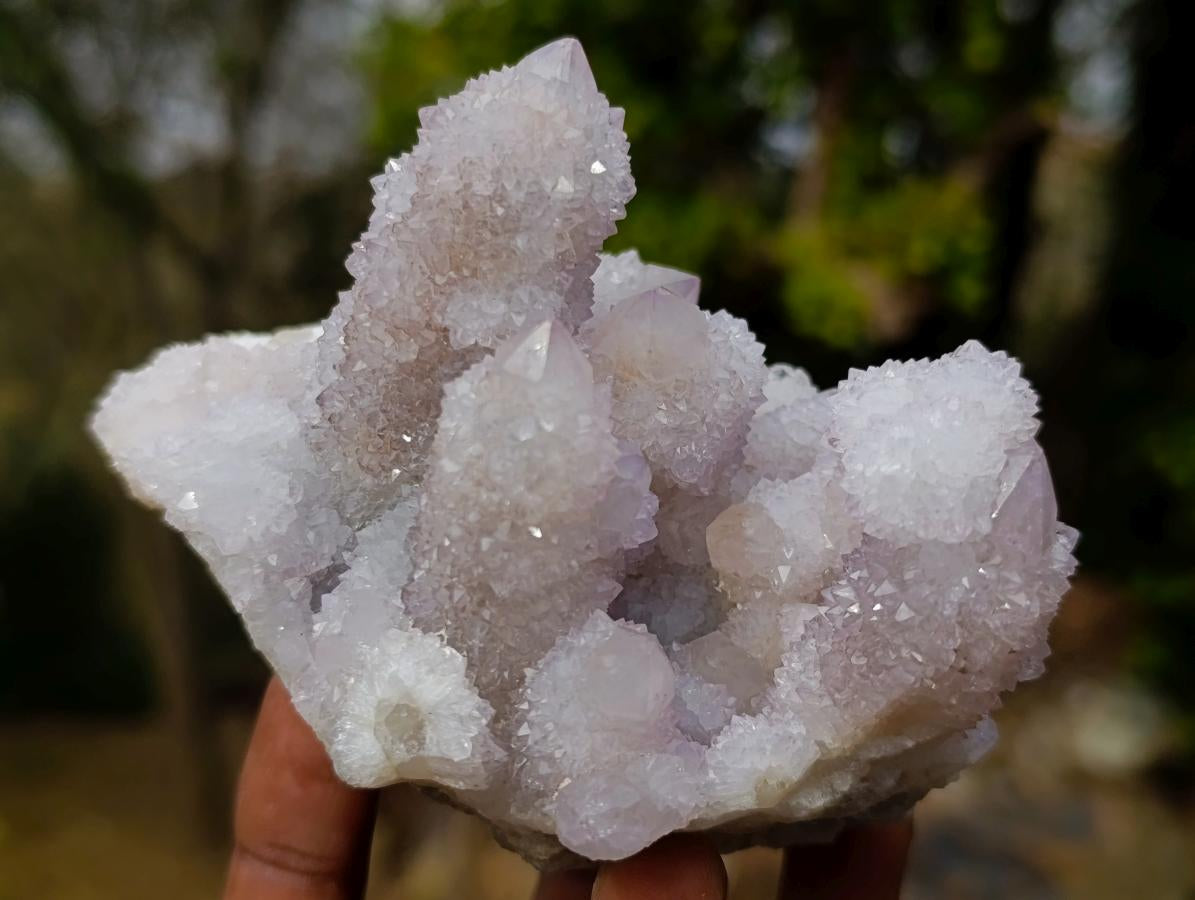 Natural Classic Drusy Spirit Amethyst Crystal Cluster x 1 From Boekenhouthoek, South Africa