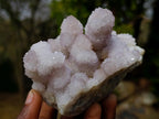 Natural Classic Drusy Spirit Amethyst Crystal Cluster x 1 From Boekenhouthoek, South Africa