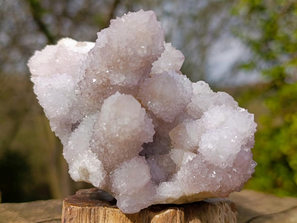 Natural Classic Drusy Spirit Amethyst Crystal Cluster x 1 From Boekenhouthoek, South Africa