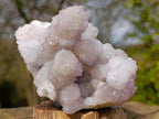Natural Classic Drusy Spirit Amethyst Crystal Cluster x 1 From Boekenhouthoek, South Africa