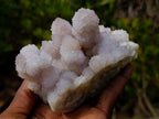 Natural Classic Drusy Spirit Amethyst Crystal Cluster x 1 From Boekenhouthoek, South Africa