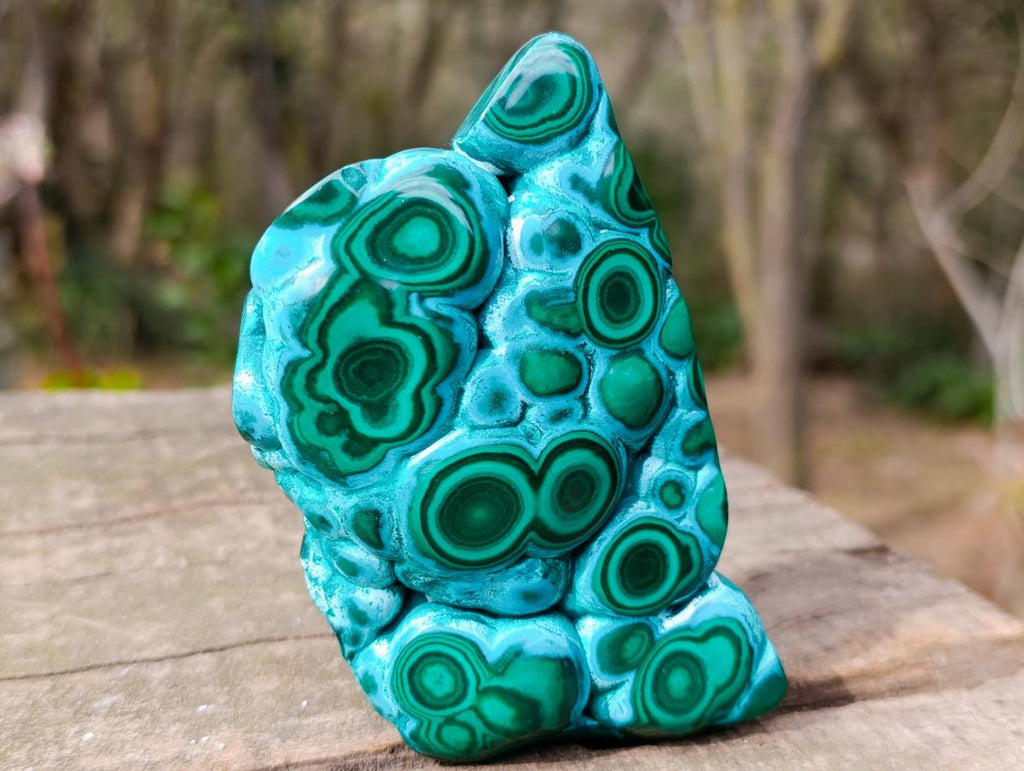 Polished "Eye" Ring Patterned Malacolla Free Form x 1 From Kulukuluku, Congo