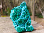 Polished "Eye" Ring Patterned Malacolla Free Form x 1 From Kulukuluku, Congo