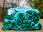 Polished "Eye" Ring Patterned Malacolla Free Form x 1 From Kulukuluku, Congo
