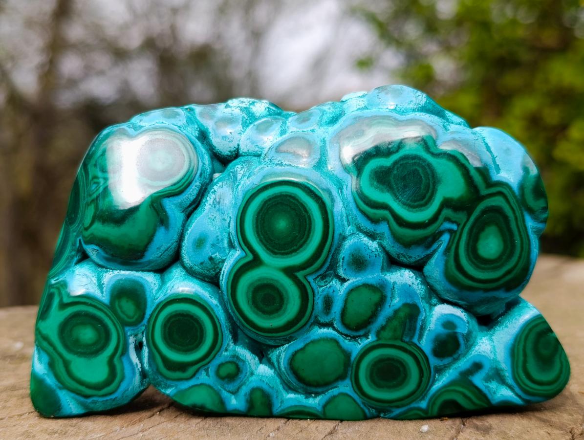 Polished "Eye" Ring Patterned Malacolla Free Form x 1 From Kulukuluku, Congo