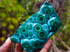 Polished "Eye" Ring Patterned Malacolla Free Form x 1 From Kulukuluku, Congo