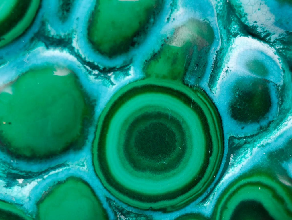Polished "Eye" Ring Patterned Malacolla Free Form x 1 From Kulukuluku, Congo